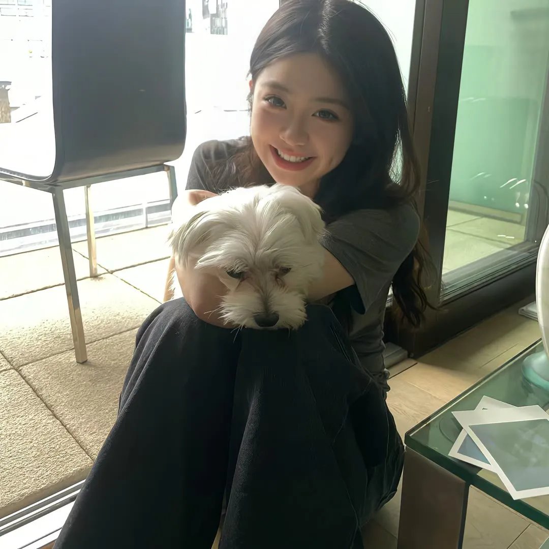 狩猎狗（电影）
