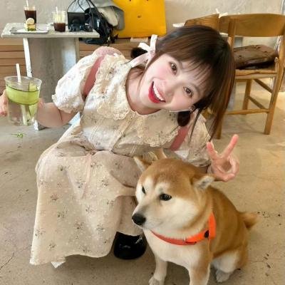 求婚大作战