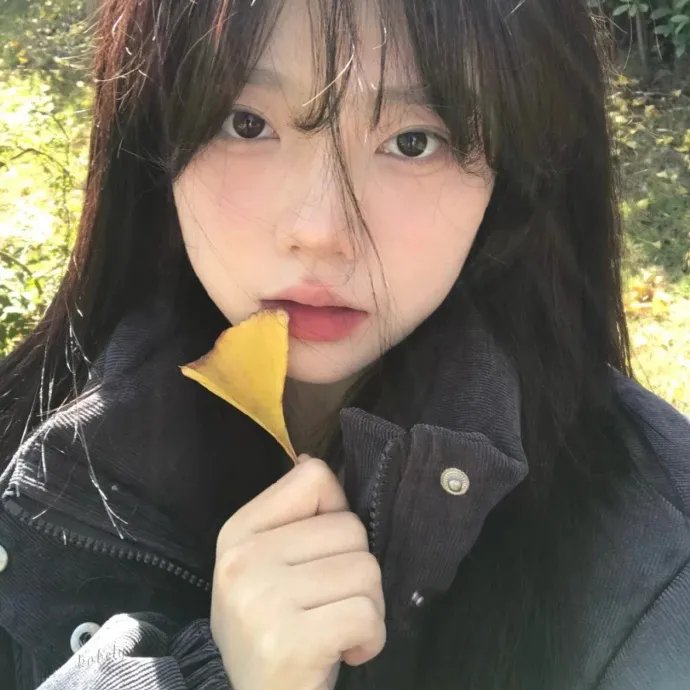 爱莉思的情书
