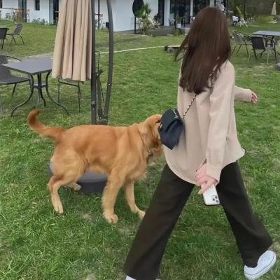 无口的森田小姐第二季