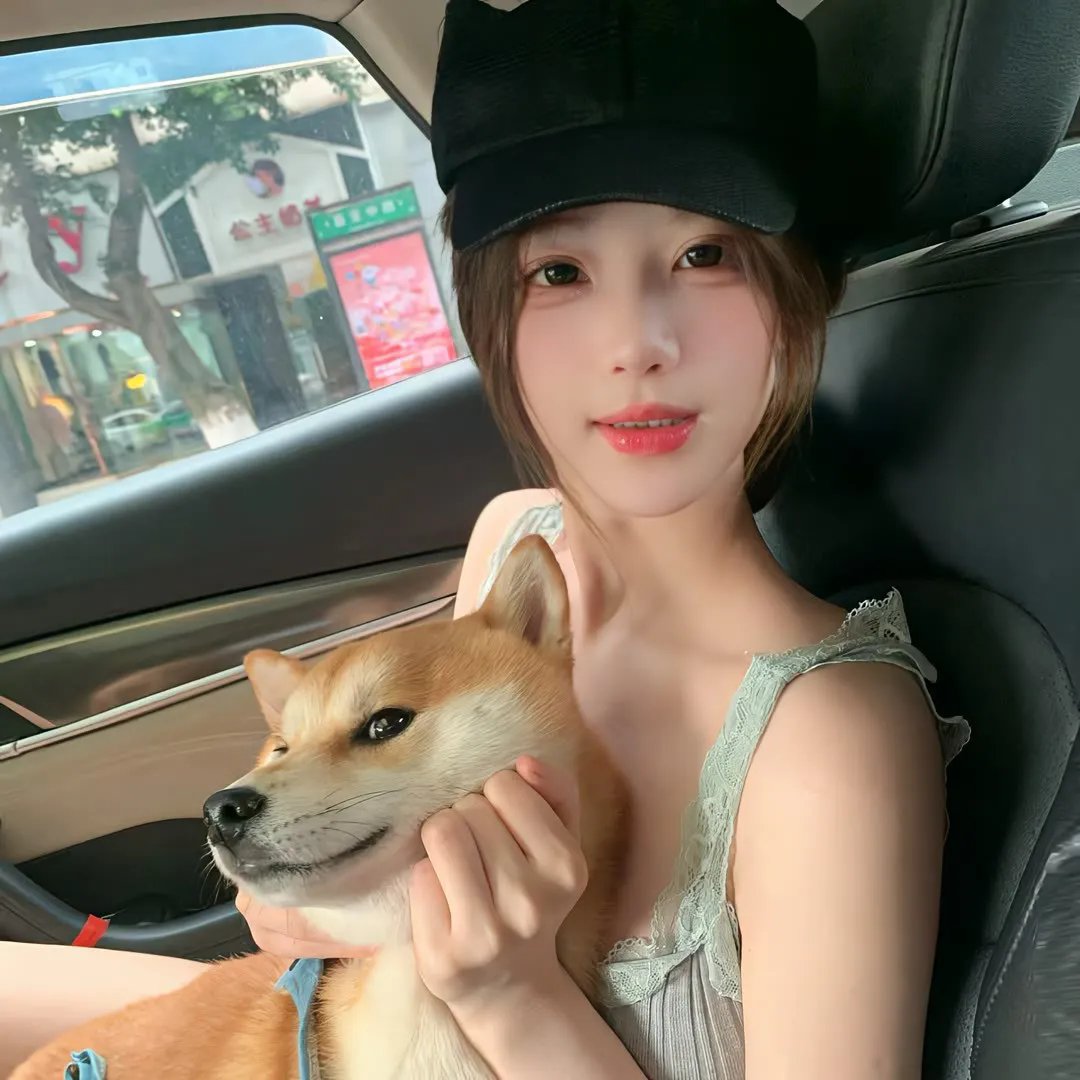 哈莉·奎茵第三季